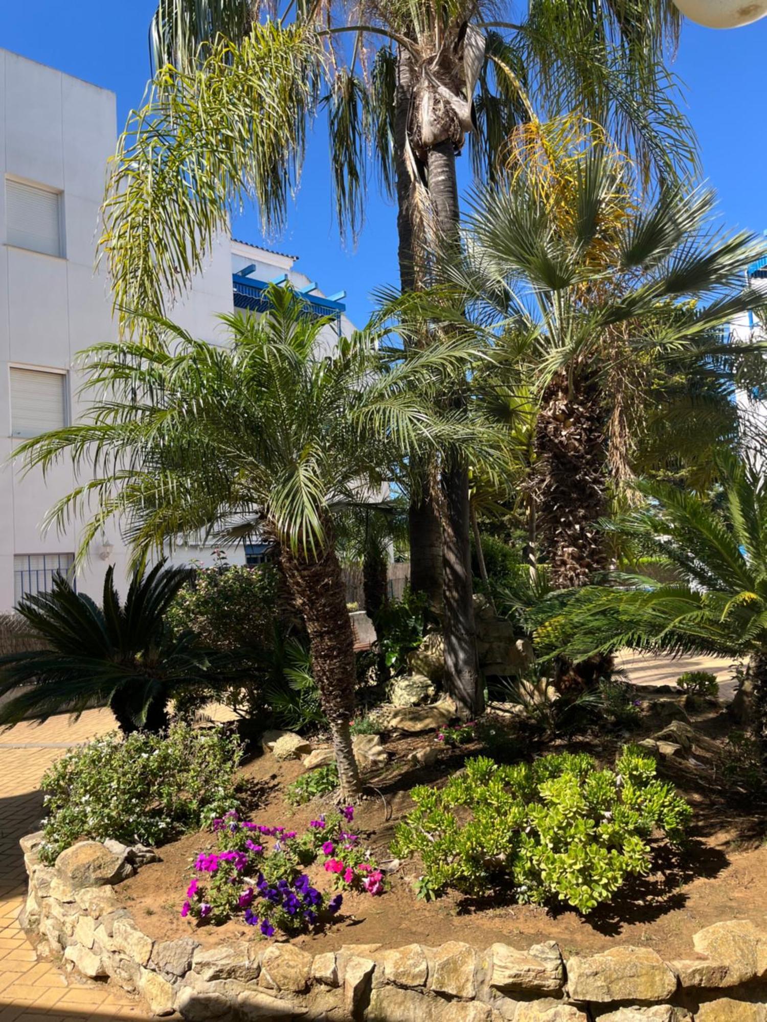 Apartamento En Costa Ballena, Urb. Playa Ballena Cádiz Exteriér fotografie